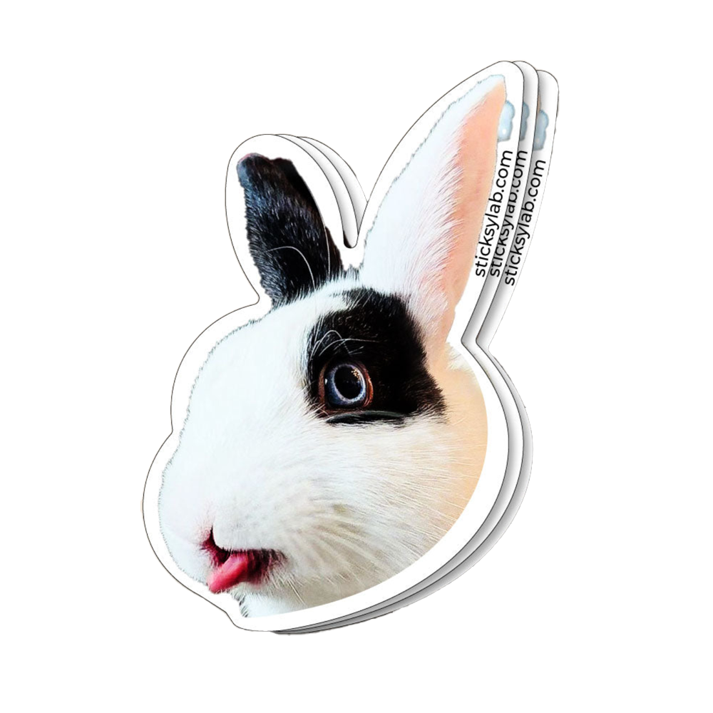 Custom Die Cut Stickers – Your Mascot’s Face