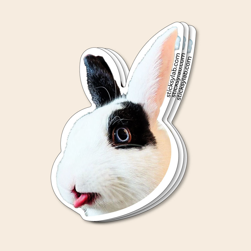 Custom Die Cut Stickers – Your Mascot’s Face